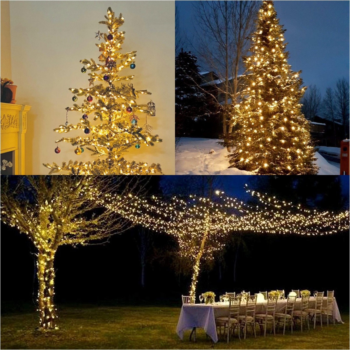 المزيد LED سلك أخضر جارلاند سل - مراجعة Lighting Decor And More وسعره